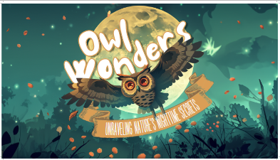 Owl Wonders -Unraveling Nature's Nighttime Secrets