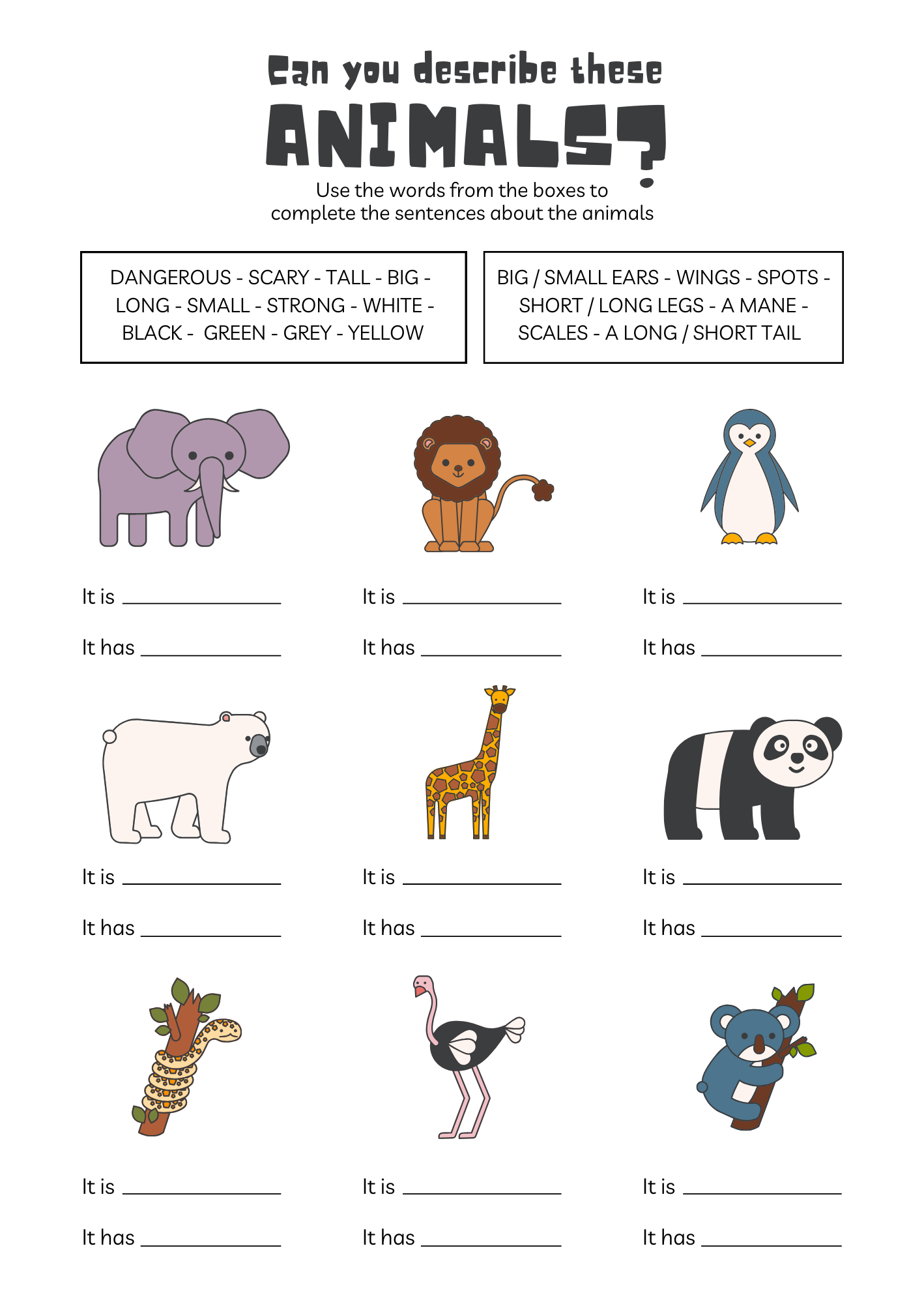 free worksheets animals